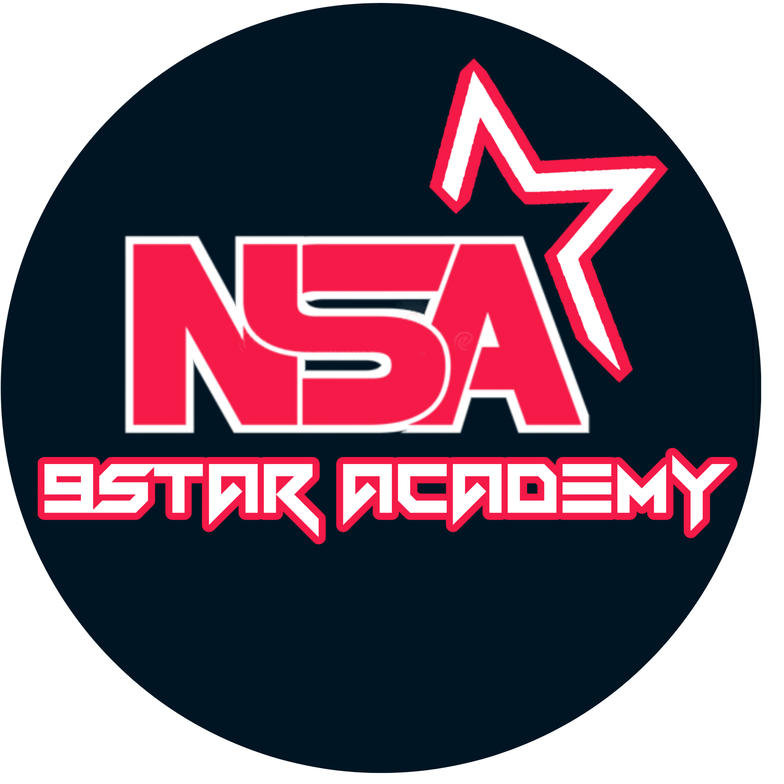 9star Academy Logo